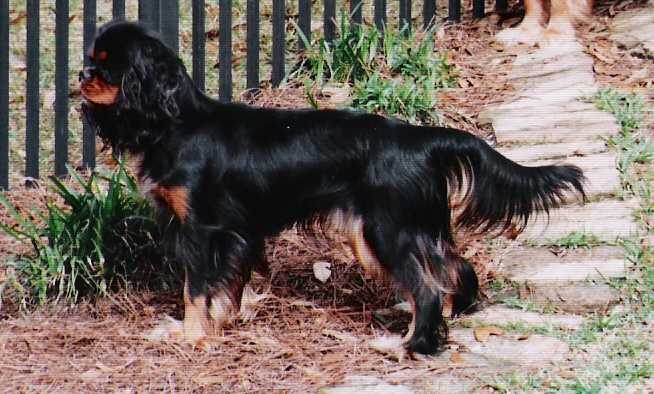 Darby