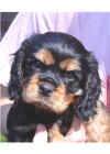 Jack7wks3head.jpg (48031 bytes)