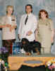 Best of Breed