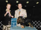 Best of Breed