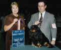 Best of Breed