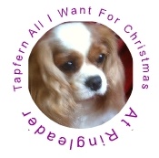 Tapfern All I Want For Christmas at Ringleader