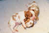 pups1week.jpg (78930 bytes)